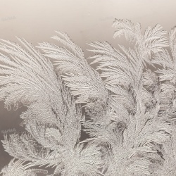 Fototapet, Ice Crystals, Rebel Walls - Img 5
