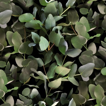Fototapet lavabil, Eucalyptus 9523W - Img 3