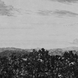 Fototapet lavabil, Oak View Graphite, Sandberg - Img 2