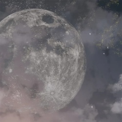 Fototapet Moon Dust, VLAdiLA