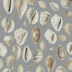 Fototapet, Ocean Shells, Blue, Rebel Walls - Img 5