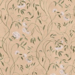 Fototapet, Peony Bloom, Peach, Rebel Walls - Img 2