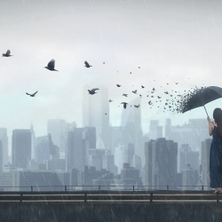 Fototapet, Rain Bird, Rebel Walls - Img 4