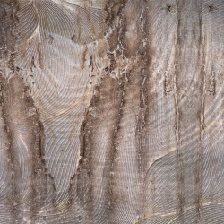 Fototapet Rustic Marcin Runowiecki R-Design Ravena B Rêve MRRB100