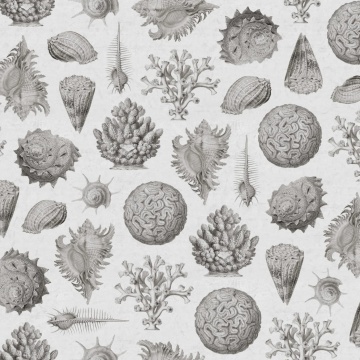 Fototapet, Seashells, Clay, Rebel Walls - Img 2