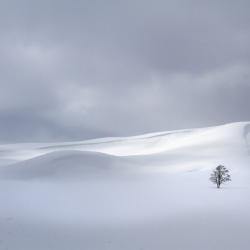Fototapet, Snowy Hills, Rebel Walls - Img 2