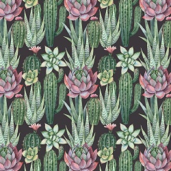 Fototapet Succulents, VLAdiLA - Img 2