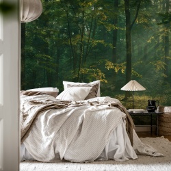 Fototapet, Sunrise Forest, Dawn, Rebel Walls - Img 3