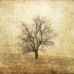 Fototapet, The Lonely Tree, Rebel Walls - Img 2