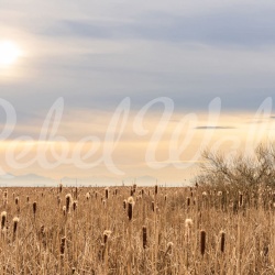 Fototapet, Thundra, Rebel Walls - Img 5