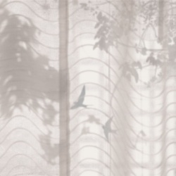 Fototapet, Tres Tintas & Rebel Walls, Hortus Umbra - Img 4