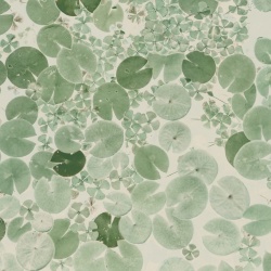 Fototapet, Water Lilies, Light Green, Rebel Walls - Img 2