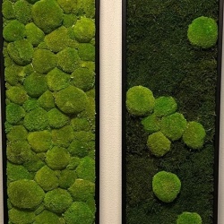 Panou decorativ din muschi, Gamme Cushion Moss - Img 10