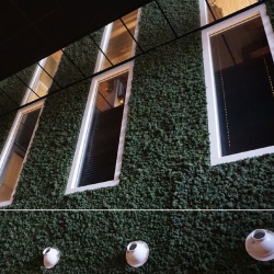 Panou decorativ din muschi, Torvtak Icemoss Moss Green - Img 4