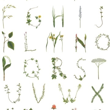 Tapet Floral Alphabet Mini, Swedish, Rebel Walls, 5 mp / rola - Img 2
