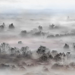Tapet Foggy Landscape Pastels, VLAdiLA - Img 2