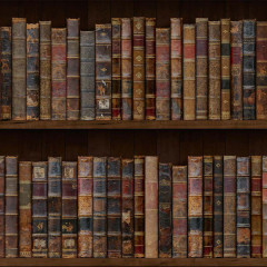 Tapet Library Style, VLAdiLA - Img 2