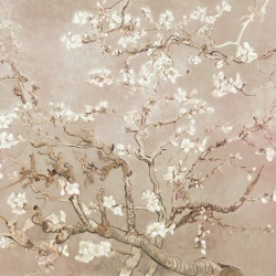Fototapet, Almond Blossom, Beige, Rebel Walls - Img 2