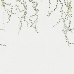 Fototapet Aralia Green, 155x195H, Sandberg - Img 4
