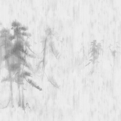 Fototapet, Asian Pines, Rebel Walls - Img 6