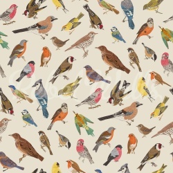 Fototapet, Birdsong Bliss, Multi, Rebel Walls - Img 2