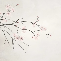 Fototapet Botanic Asahii Sakura Rêve AS204