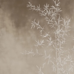 Fototapet Botanic Asahii Yuga Rêve AY204
