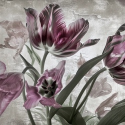 Fototapet Botanic Bosquet La tulipe Rêve BL 112