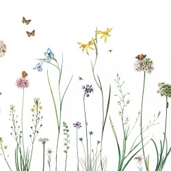 Fototapet Butterfly Garden, Kikki Belle - Img 2