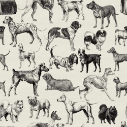 Fototapet, Dogs, Creme, Rebel Walls - Img 2