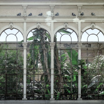 Fototapet, Dove Gardens, Rebel Walls - Img 2