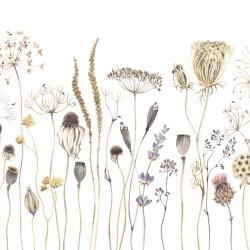 Fototapet, Dried Flower Meadow, Beige, Rebel Walls - Img 2