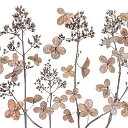 Fototapet, Dried Flowers, Rebel Walls - Img 2
