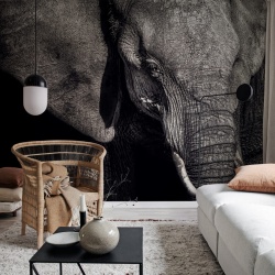 Fototapet, Elephant, Rebel Walls