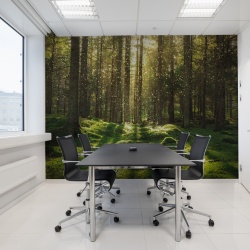 Fototapet, Forest Bath, Rebel Walls - Img 4