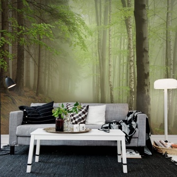 Fototapet, Forest Path, Rebel Walls - Img 3