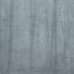 Fototapet lavabil, Skog Misty Blue, Sandberg - Img 2