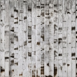 Fototapet, Metal Birch, Rebel Walls - Img 2