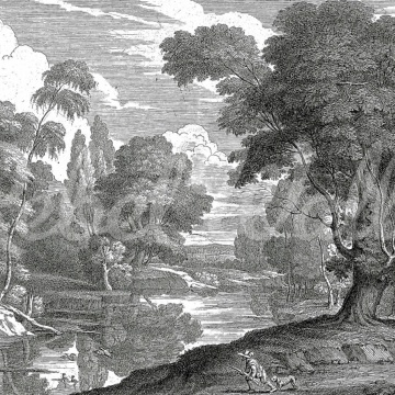 Fototapet, Park Etching, Gray, Rebel Walls - Img 2