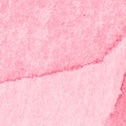 Fototapet, Petals, Magenta, Rebel Walls - Img 8