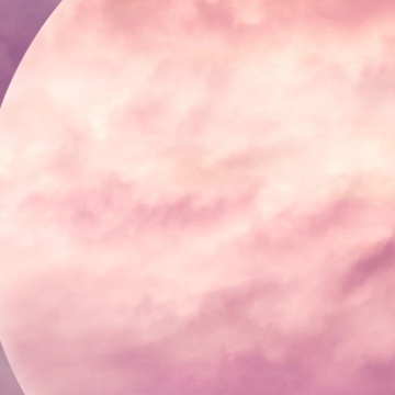 Fototapet, Pink Moon, Rebel Walls - Img 3