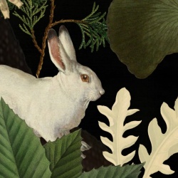 Fototapet, Rabbit Hole, Moss, Rebel Walls - Img 4