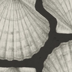 Fototapet, Shells, Graphite, Rebel Walls - Img 5