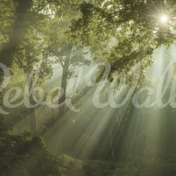 Fototapet, Sun Rays, Rebel Walls - Img 2