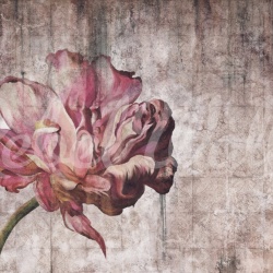 Fototapet, Vintage Tulip, Rebel Walls - Img 2
