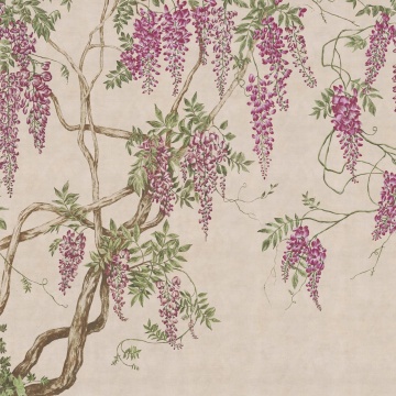 Fototapet, Wisteria Tree, Dusty Pink, Rebel Walls - Img 2