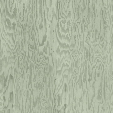Fototapet, Wood Shades, Green, Rebel Walls - Img 2