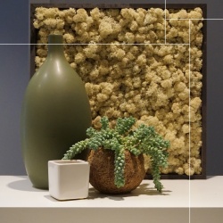 Panou decorativ din muschi, Torvtak Icemoss Natural - Img 2