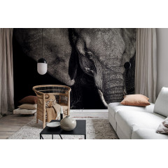 Tapet Elephant, Rebel Walls - Img 1