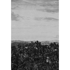 Tapet lavabil Oak View Graphite, Sandberg - Img 2